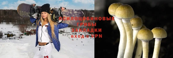 хмурый Одинцово