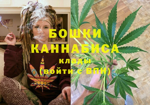 ПСИЛОЦИБИНОВЫЕ ГРИБЫ Козельск