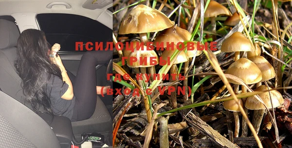 метадон Костерёво