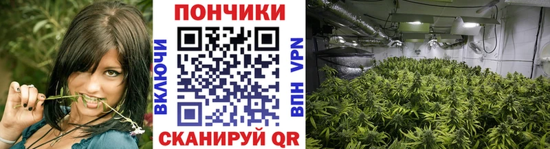 Каннабис AK-47  Купить закладки  Беломорск 